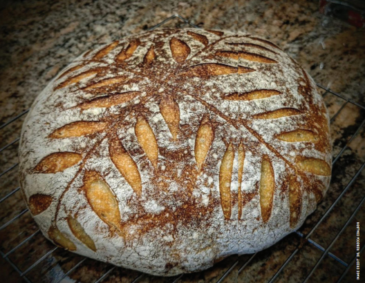 Sourdough Bread Recipe