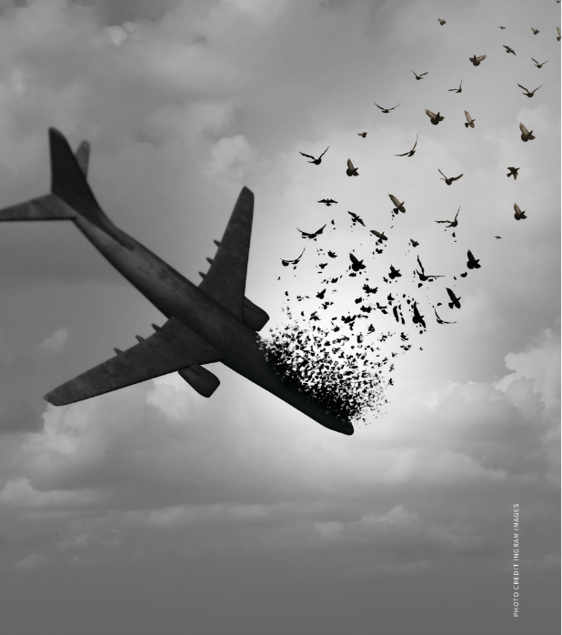 Pulling Out Of The Nosedive