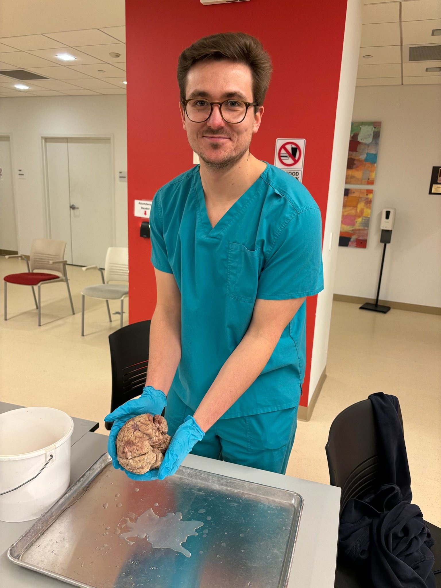 My Journey to Medicine by Jack Wimmershoff